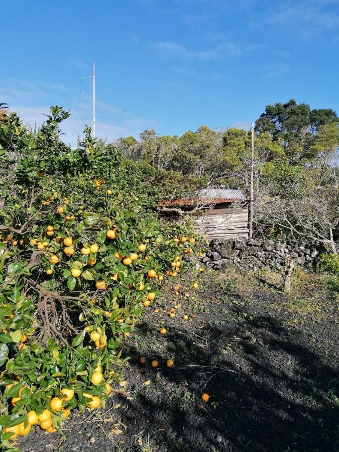Rosa Do Canto Monte  Esterno foto