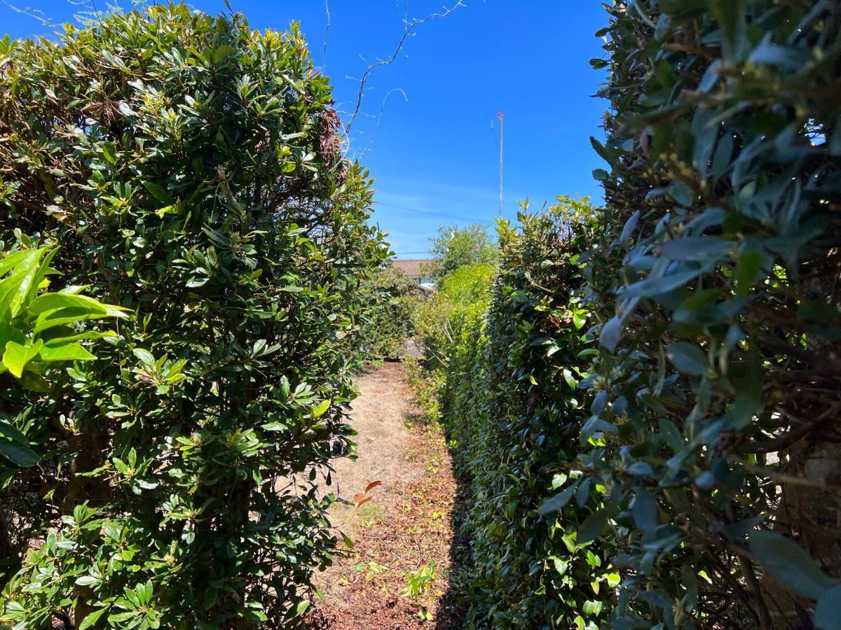 Rosa Do Canto Monte  Esterno foto