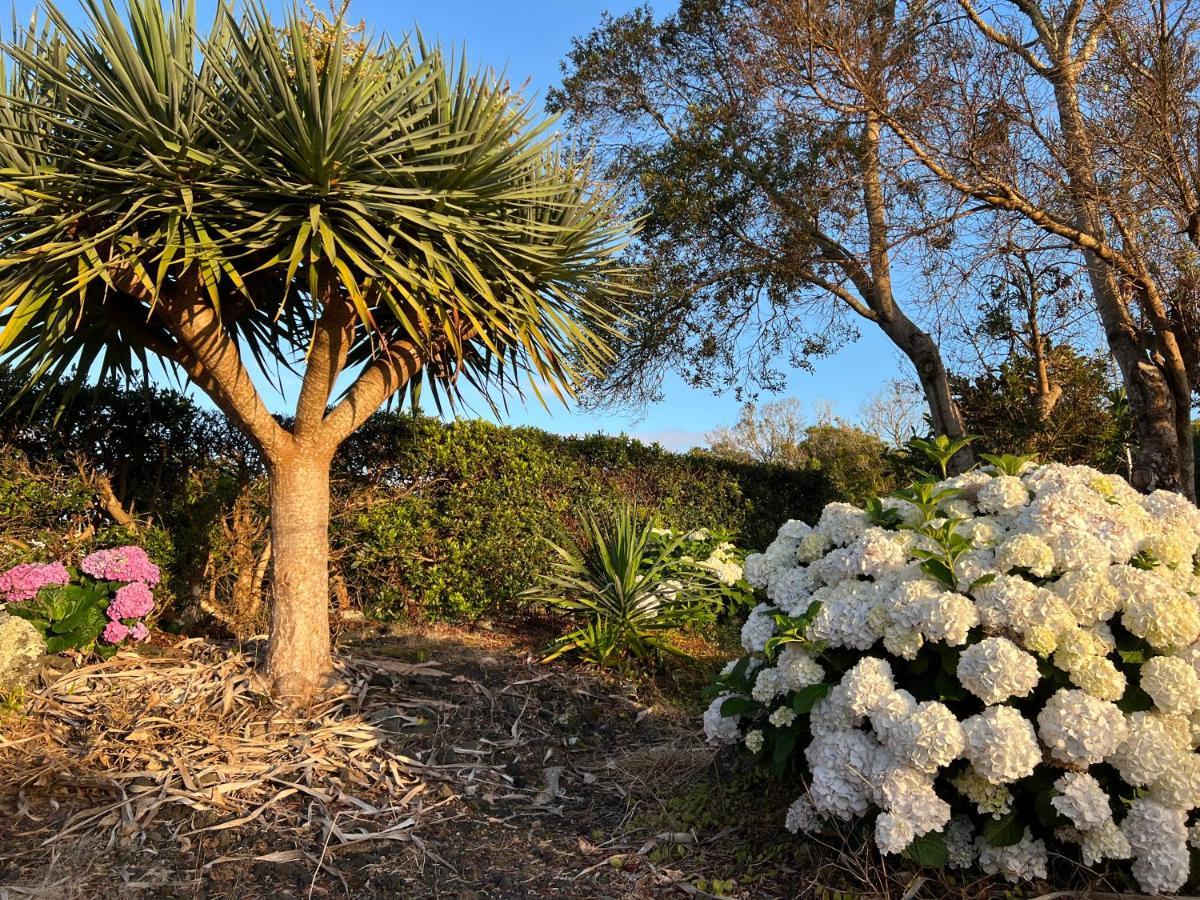Rosa Do Canto Monte  Esterno foto